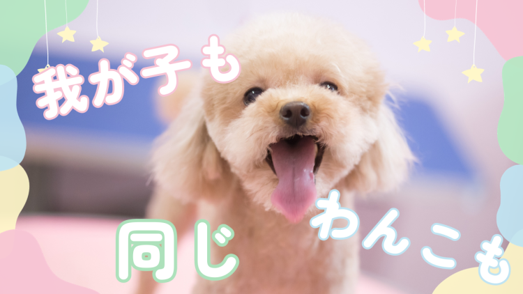 我が子もわんこも同じ
